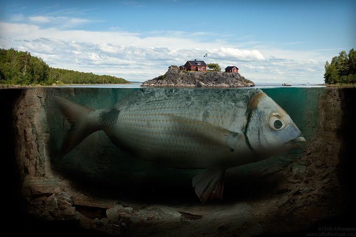Question of the Week (Image by Erik Johansson "Fishy Island")
